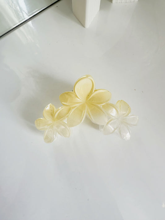 Gancho grande hawaiano P2 E15 E