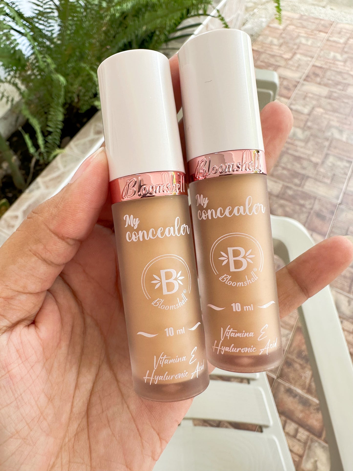 Corrector bloomshell nueva presentación S E24 E