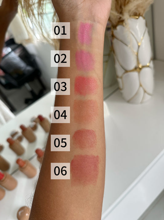 rubor stick c/u P1 E1 E