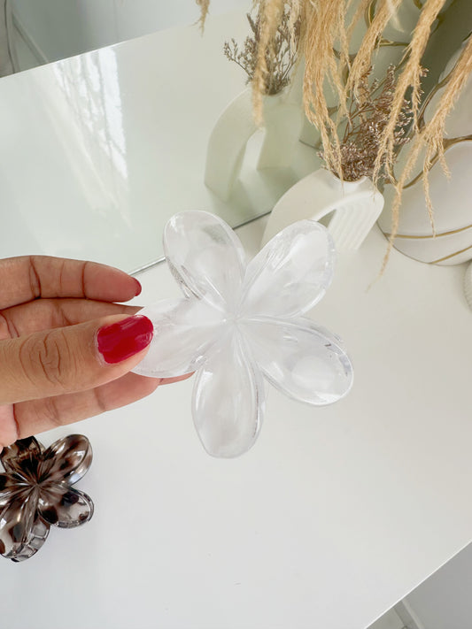 Hawaiana blanca y cafe P2 E15 B