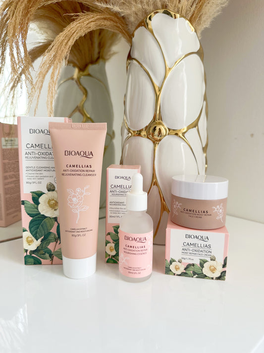 Kit camelias x3 p2-E19-a)