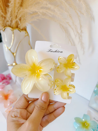 Set de pinzas hawaianas x3 (S-E37-4)