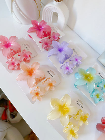 Set de pinzas hawaianas x3 (S-E37-4)