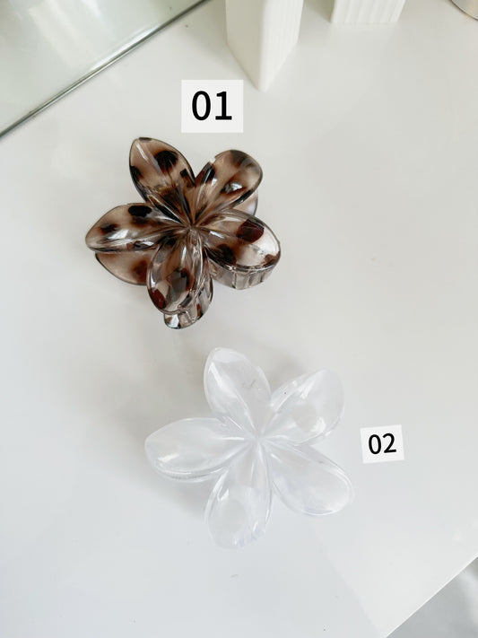 Hawaiana blanca y cafe P2 E15 B