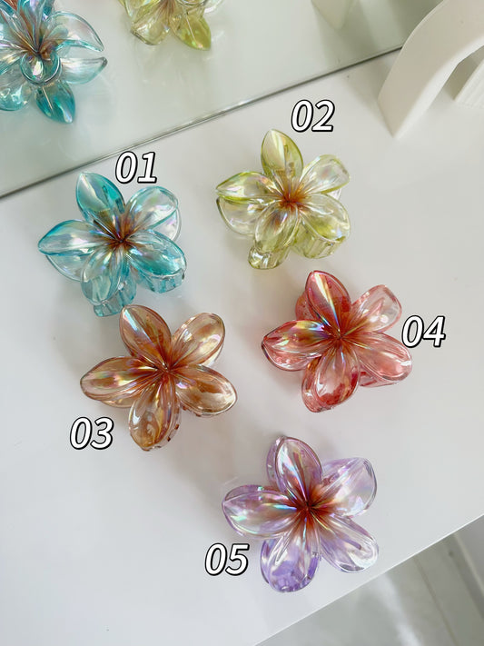 Hawaiana Tornasol P2 E19 D