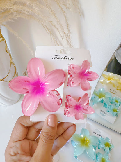 Set de pinzas hawaianas x3 (S-E37-4)