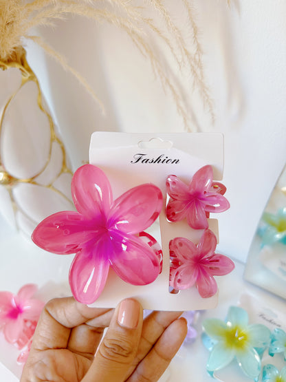 Set de pinzas hawaianas x3 (S-E37-4)