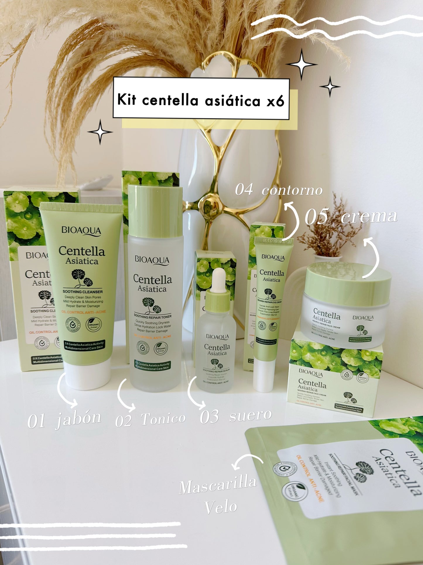 Kit centella x6 bioaqua (P1-E1-E)