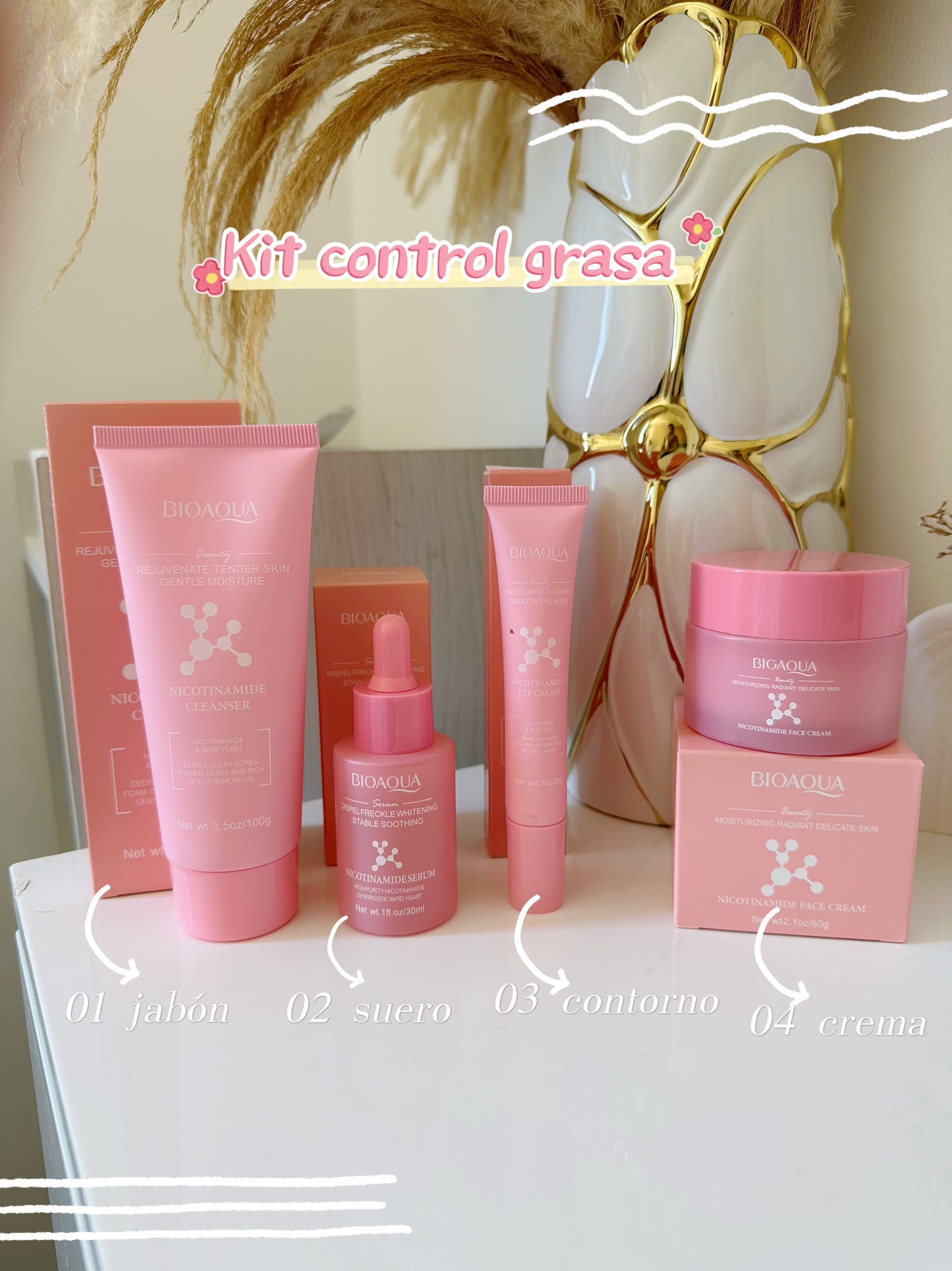 Kit control grasa x4 bioaqua S-E37-4