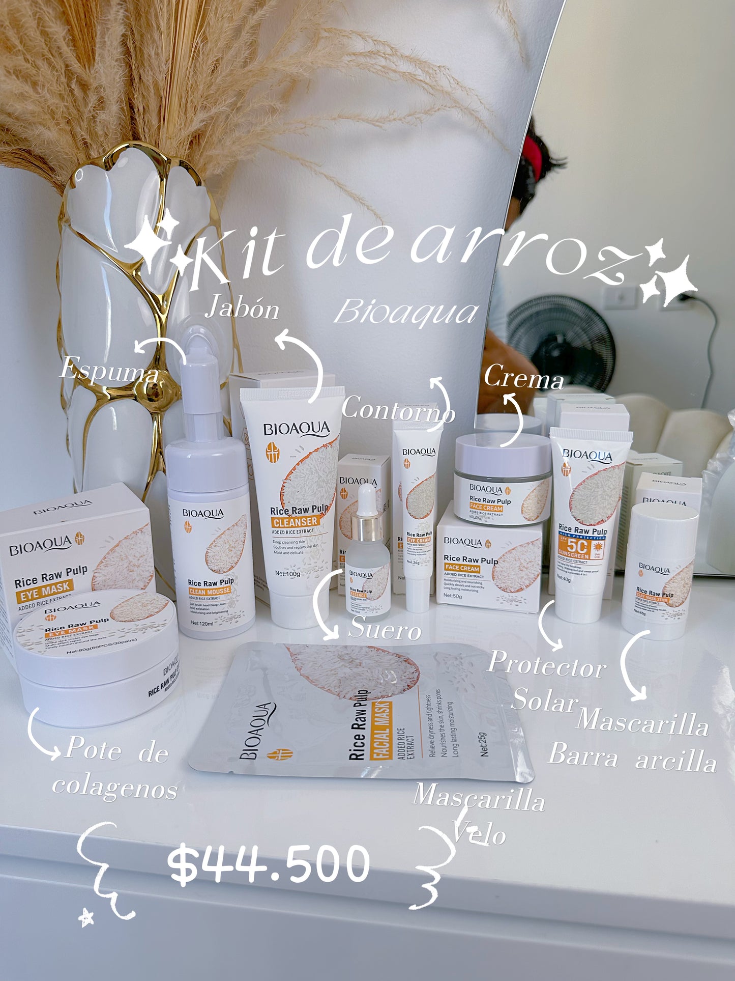 Kit de arroz x9 bioaqua