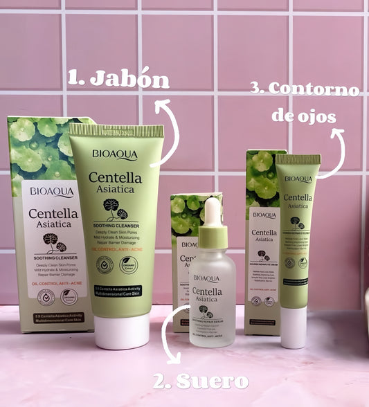 Kit de centella asiática x3 (P1-E32-6)